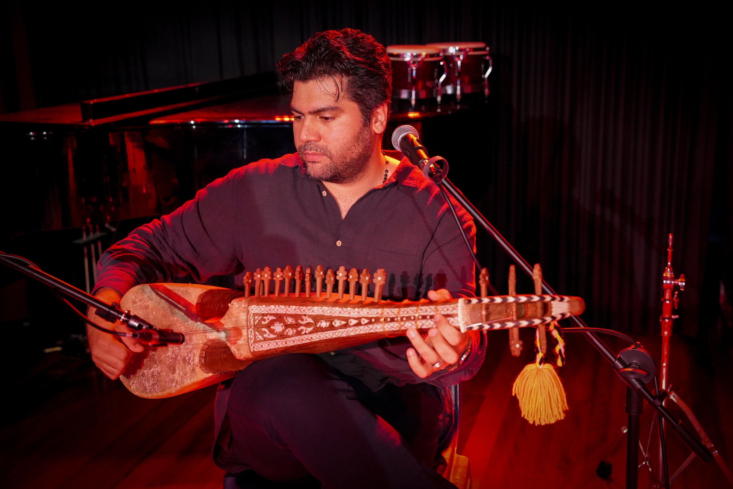 Person playing a traditional string instrument on stage with microphone.