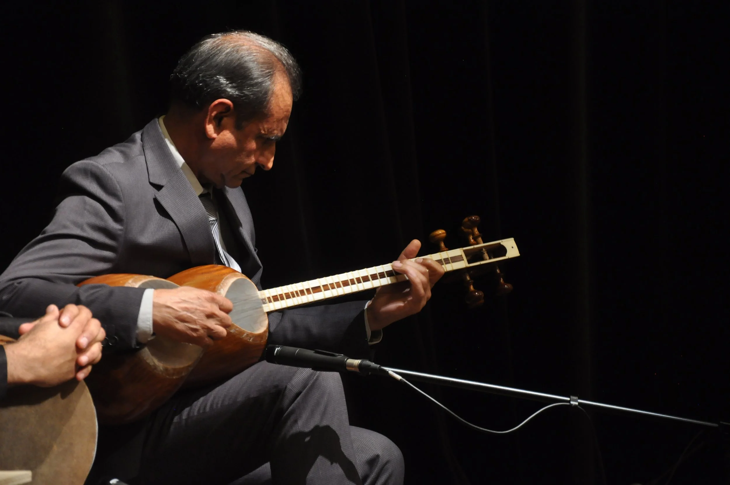 Man in suit playing a tar, a Persian stringed instrument, on stage with a microphone.