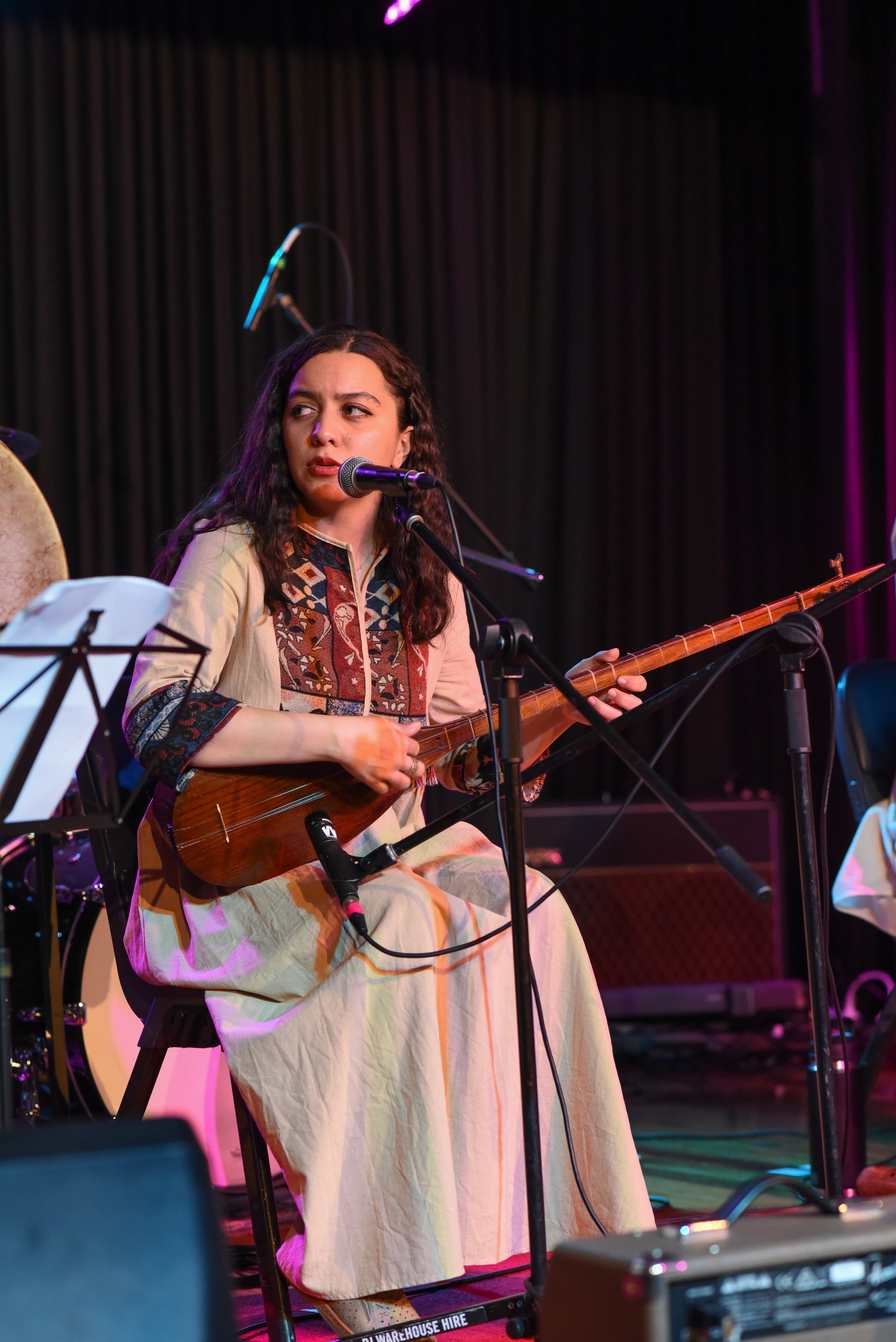 Musician playing a traditional string instrument on stage with a microphone