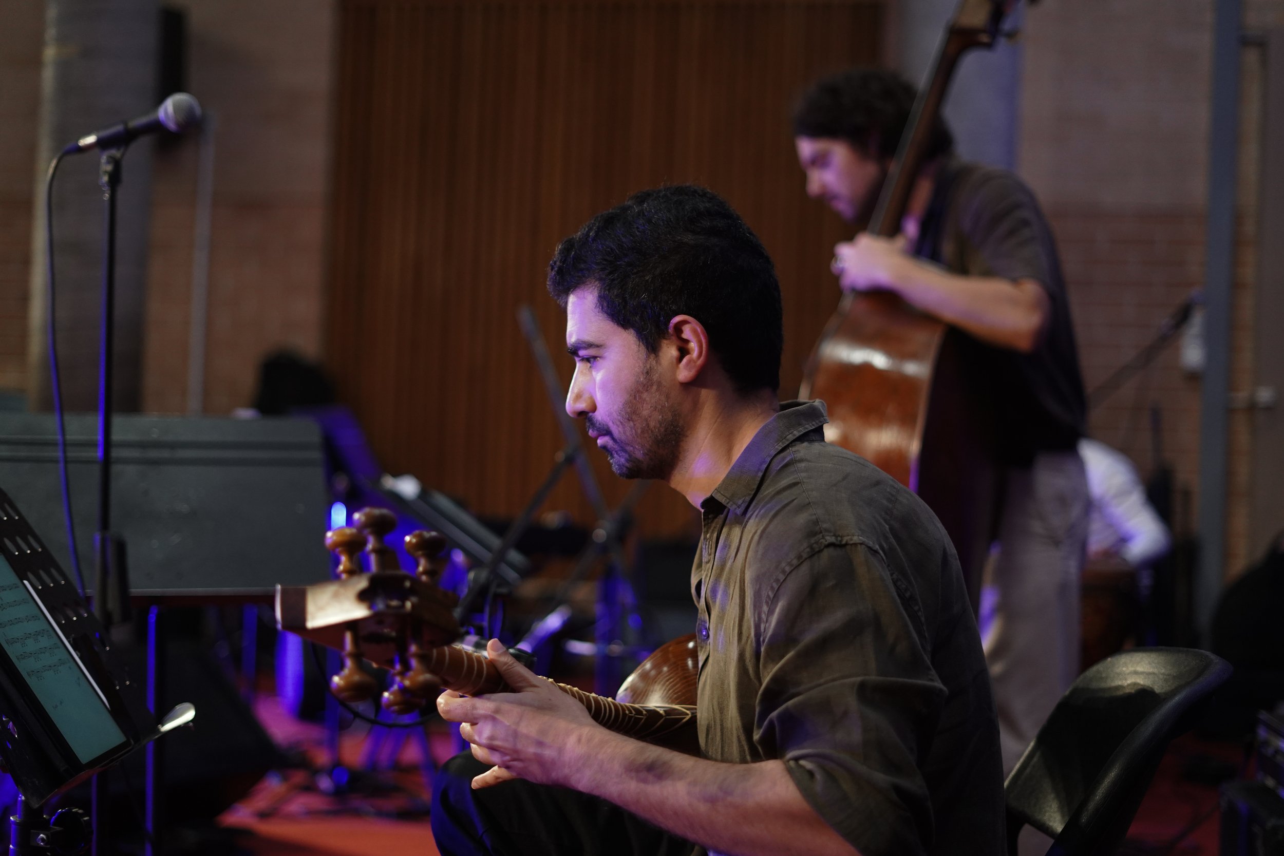 Musicians performing, one playing a tar, another on a double bass, with a microphone and music stand nearby.