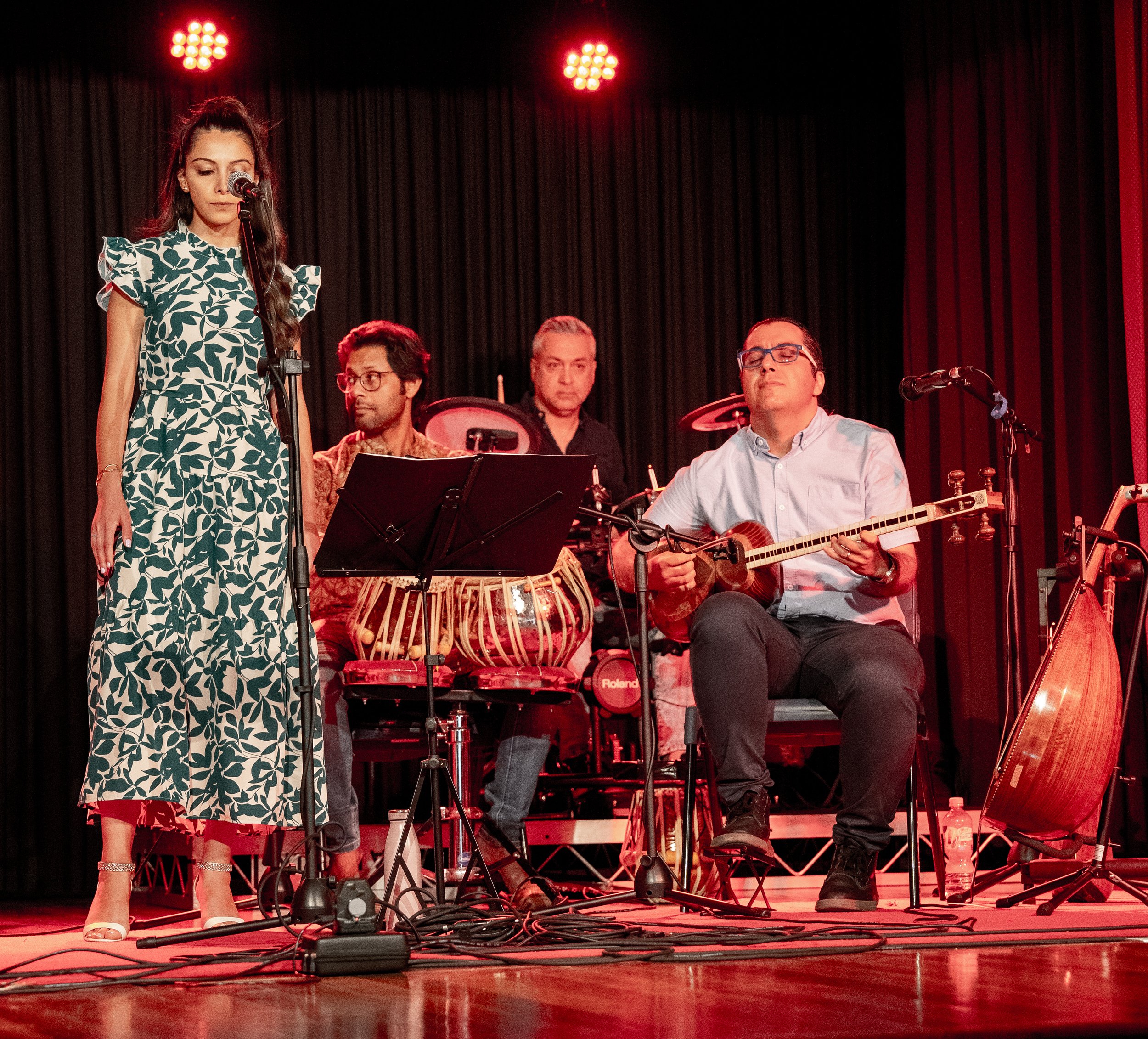A musical performance with a female singer in a floral dress and three male musicians playing traditional instruments on stage with red lighting.