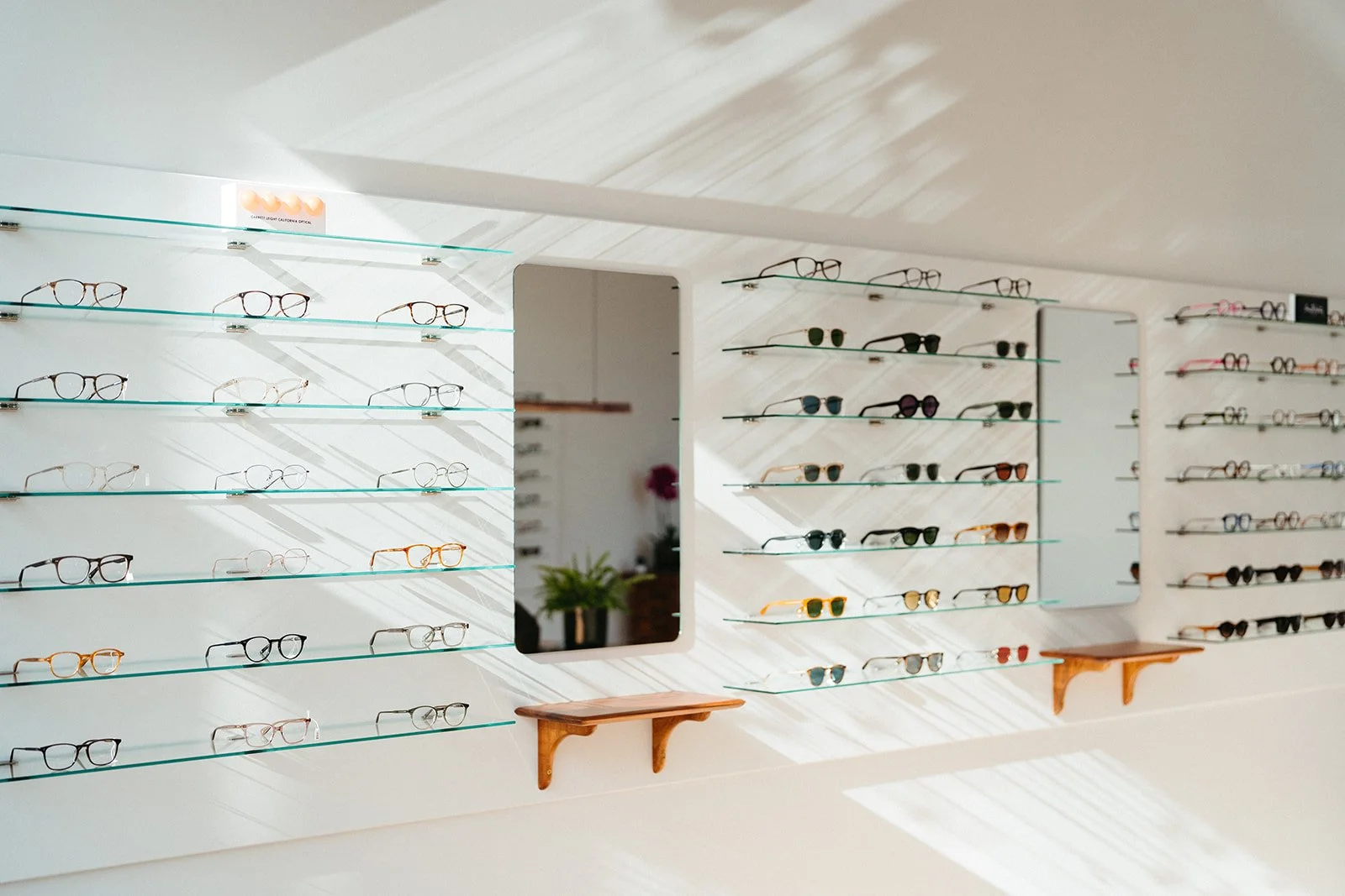Interior showing eyewear display of optometrist near geelong