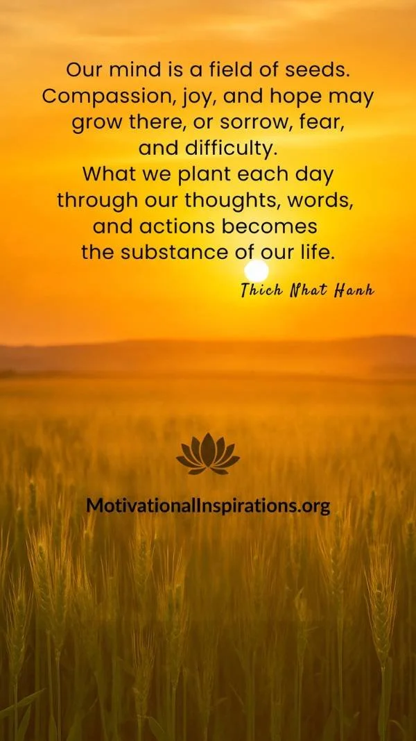 Golden field under a warm sunrise with text by Thích Nhất Hạnh about nurturing mindfulness and compassion as seeds that grow peace within; 9×16 phone wallpaper featuring a Thích Nhất Hạnh quote; created by Motivational Inspirations; optimized for 108