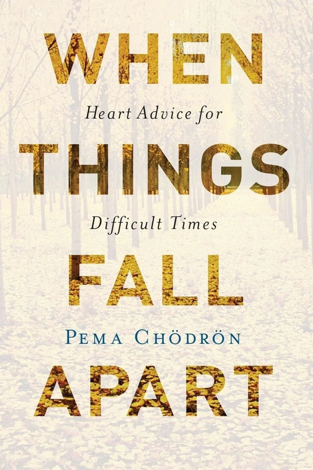 When Things Fall Apart