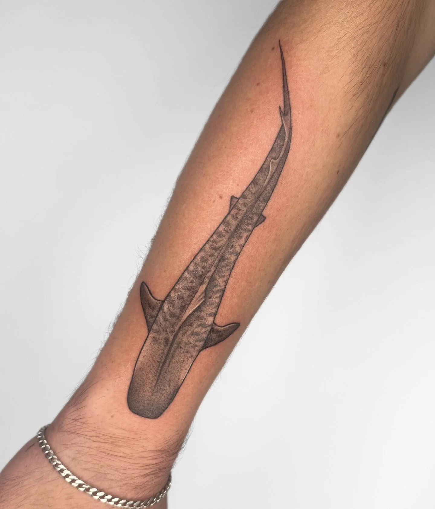 Tiger shark for @cooper.symes