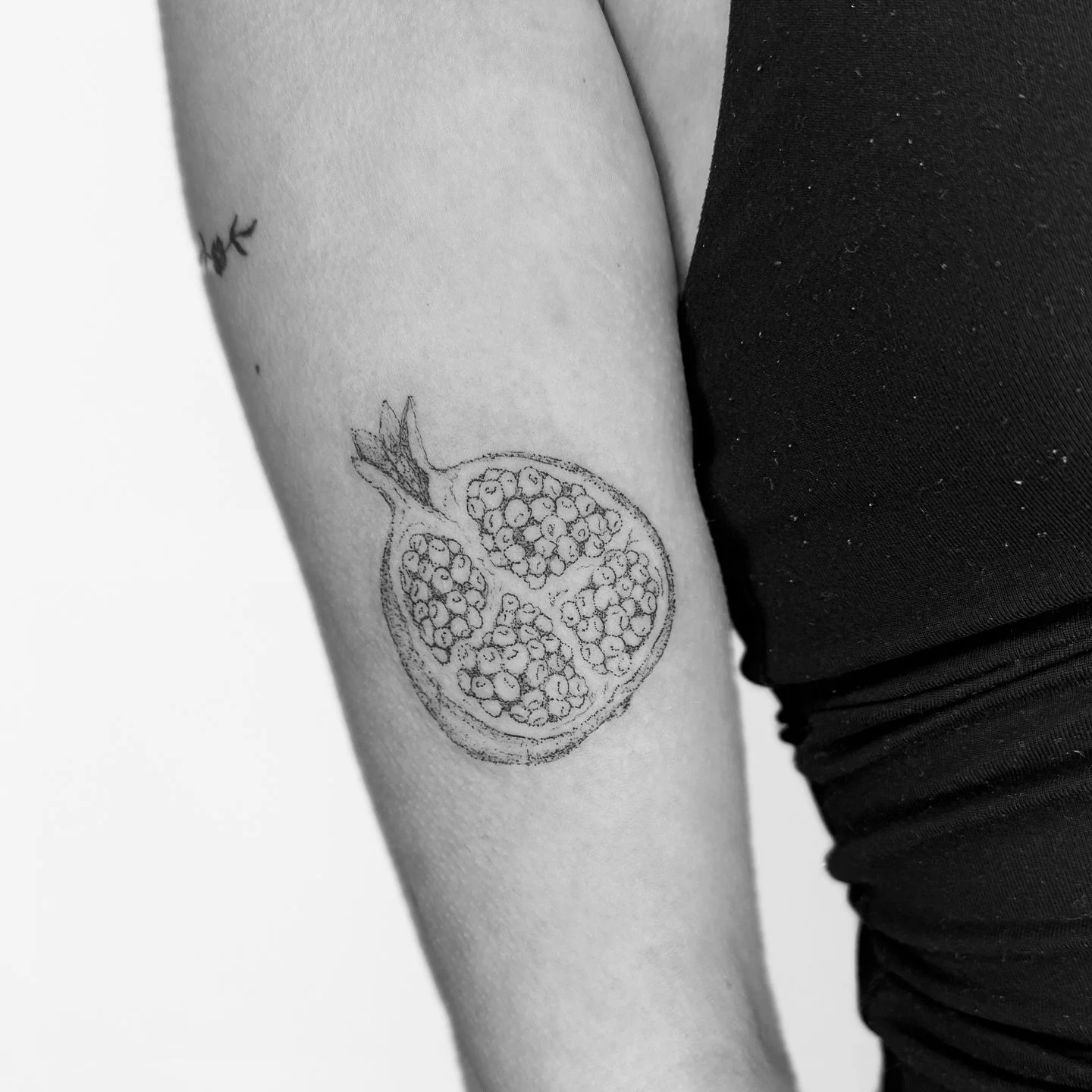Dot work pomegranate for @hanakastrathern
