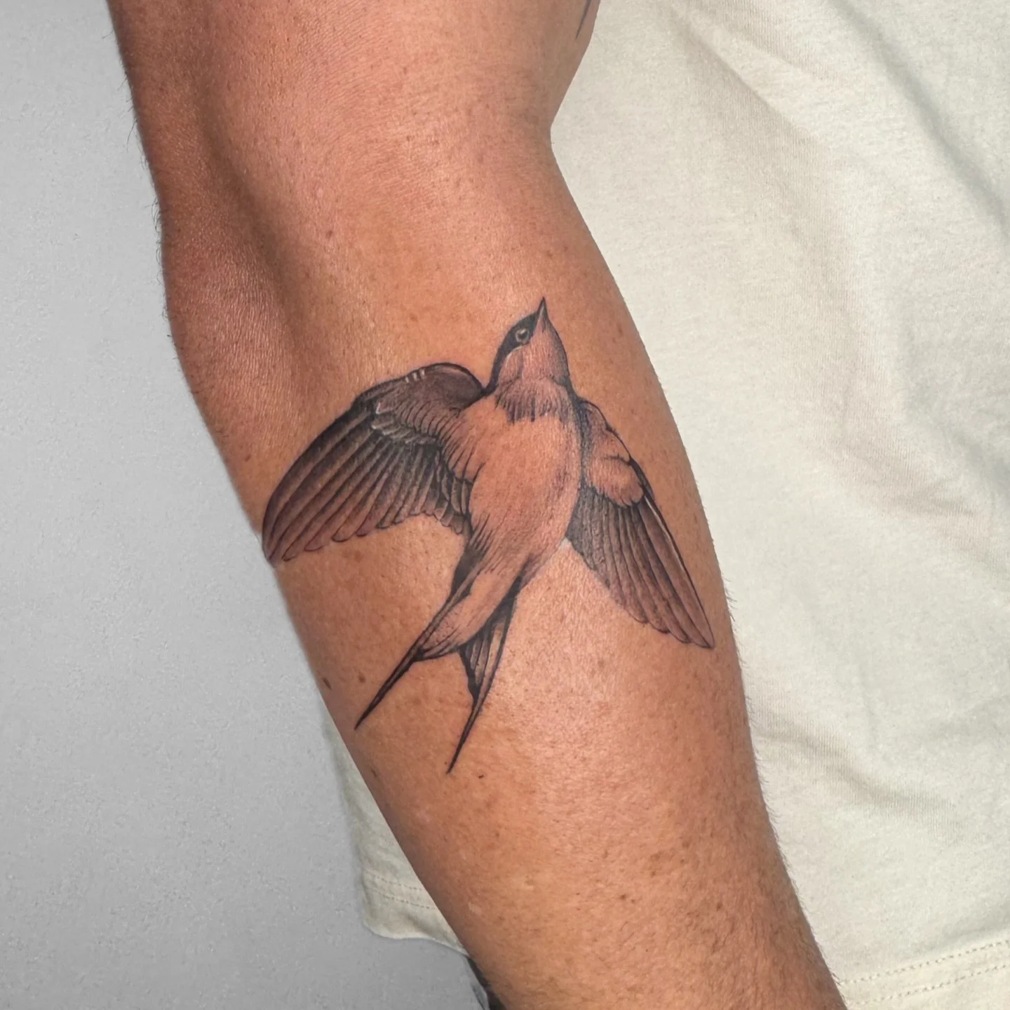 Swallow for Sean 🖤