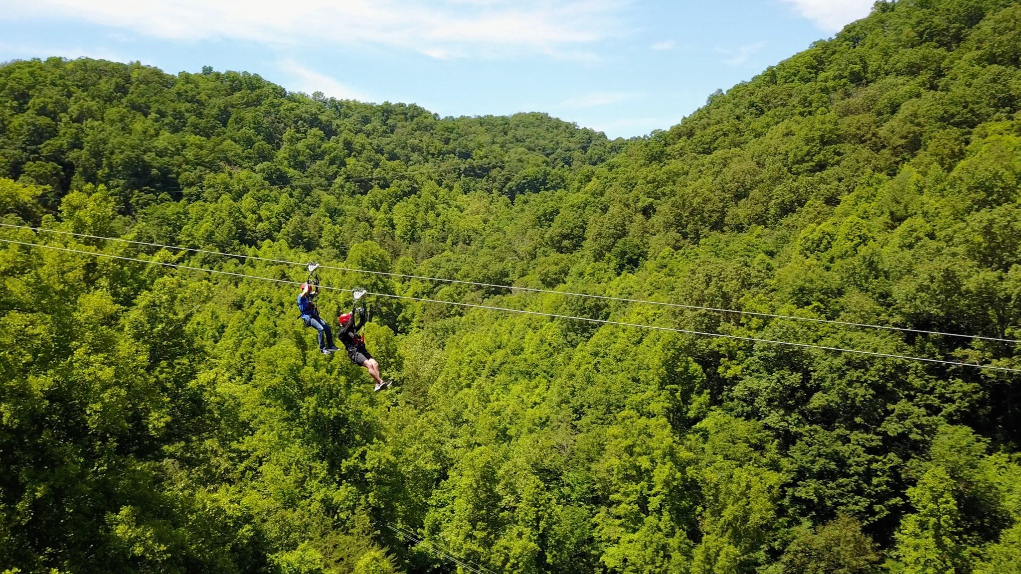 Two adventurers ziplining high above a lush green forest at Navitat Canopy Adventures, experiencing an exhilarating ride through the treetops.