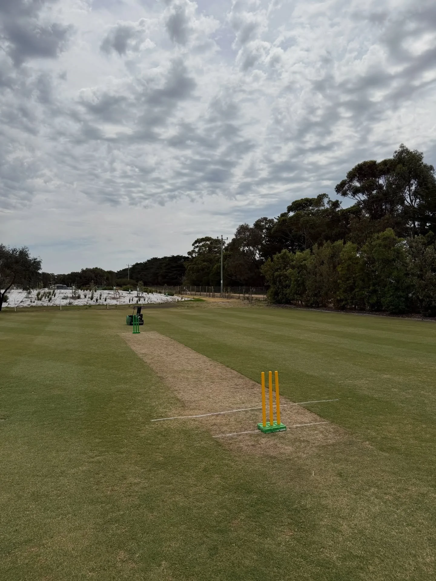 Back into the swing of things for 2026! 🌱✂️⛳️ 🏏