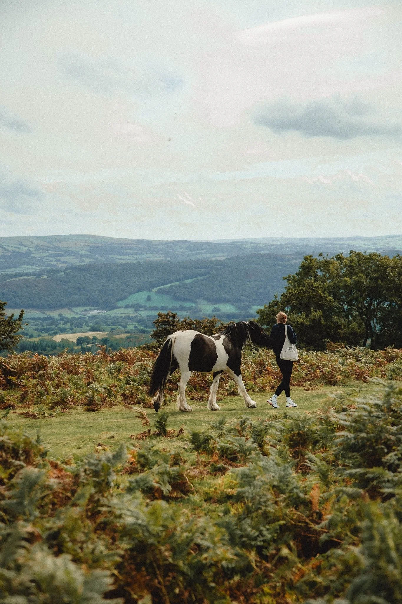 WhatsApp Image 2025-11-01 at 16.45.39 (1).jpeg