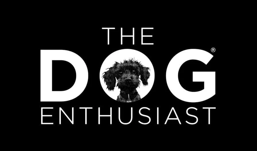 he Dog Enthusiast