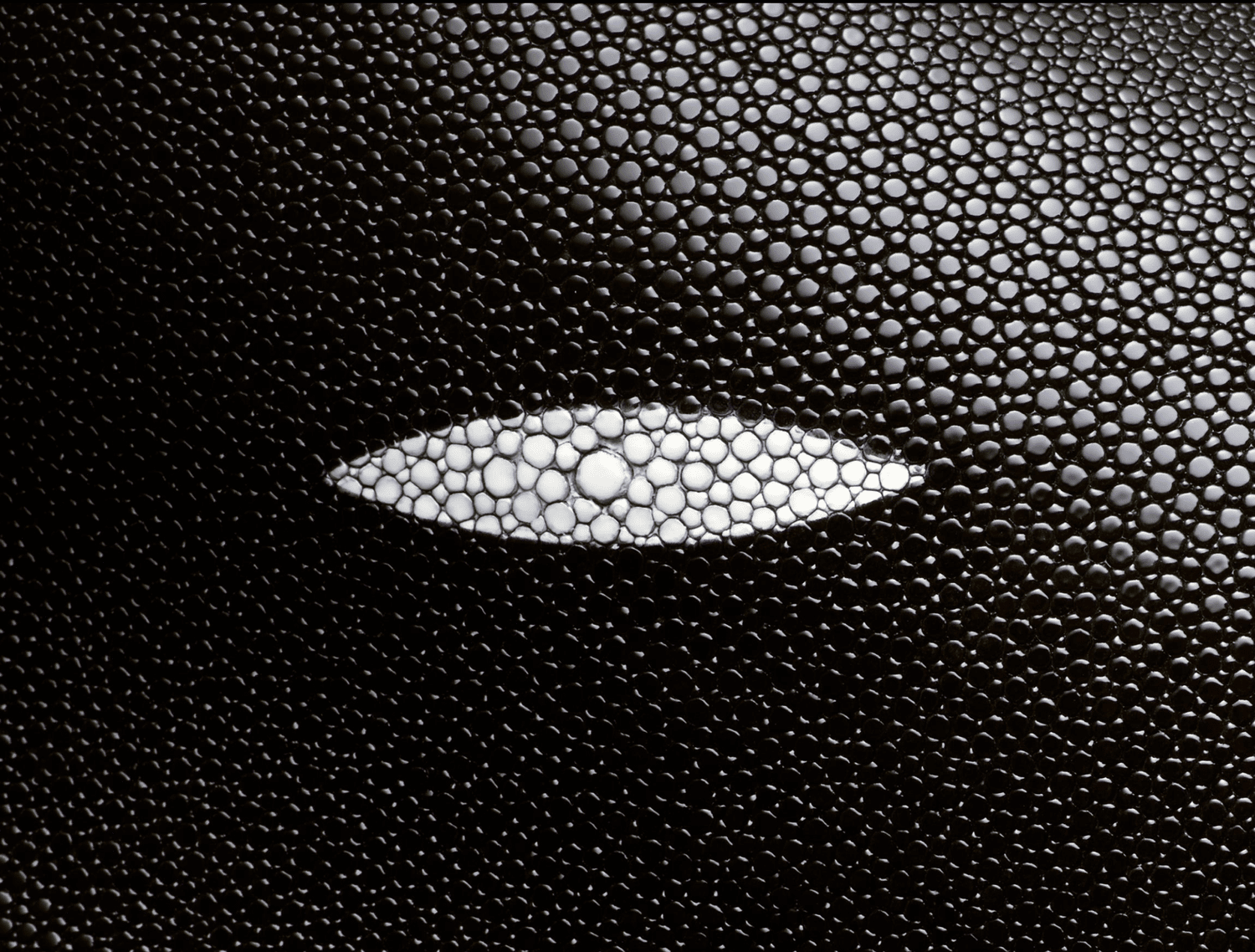 Shagreen Detail am Grand Vividus