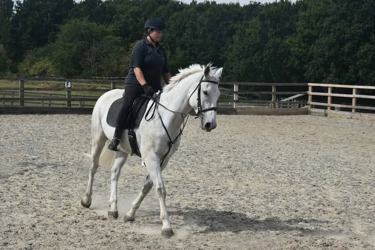 A woman riding a white horse in an outdoor riding arena.