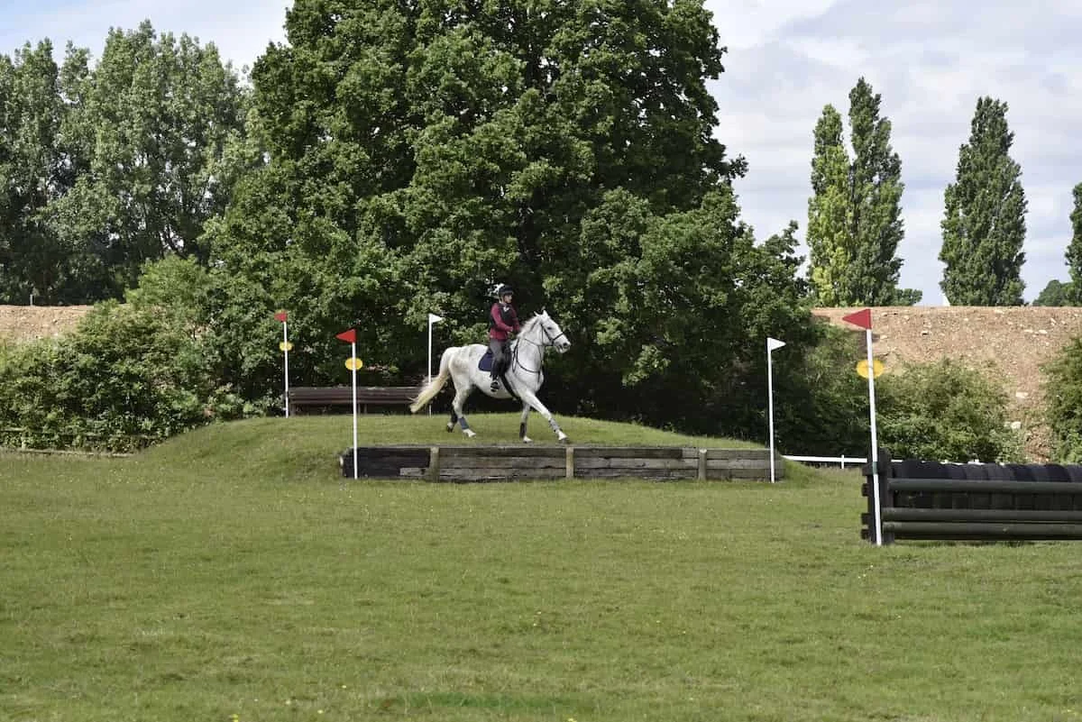 A person riding a white horse and jumping over an obstacle during an equestrian event, with flags and trees in the background.