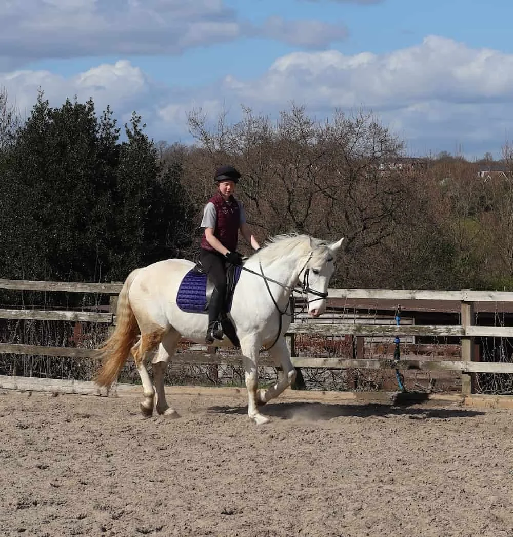A young girl riding a white horse on a dirt riding ring with a wooden fence, trees, and houses in the background under a partly cloudy sky.