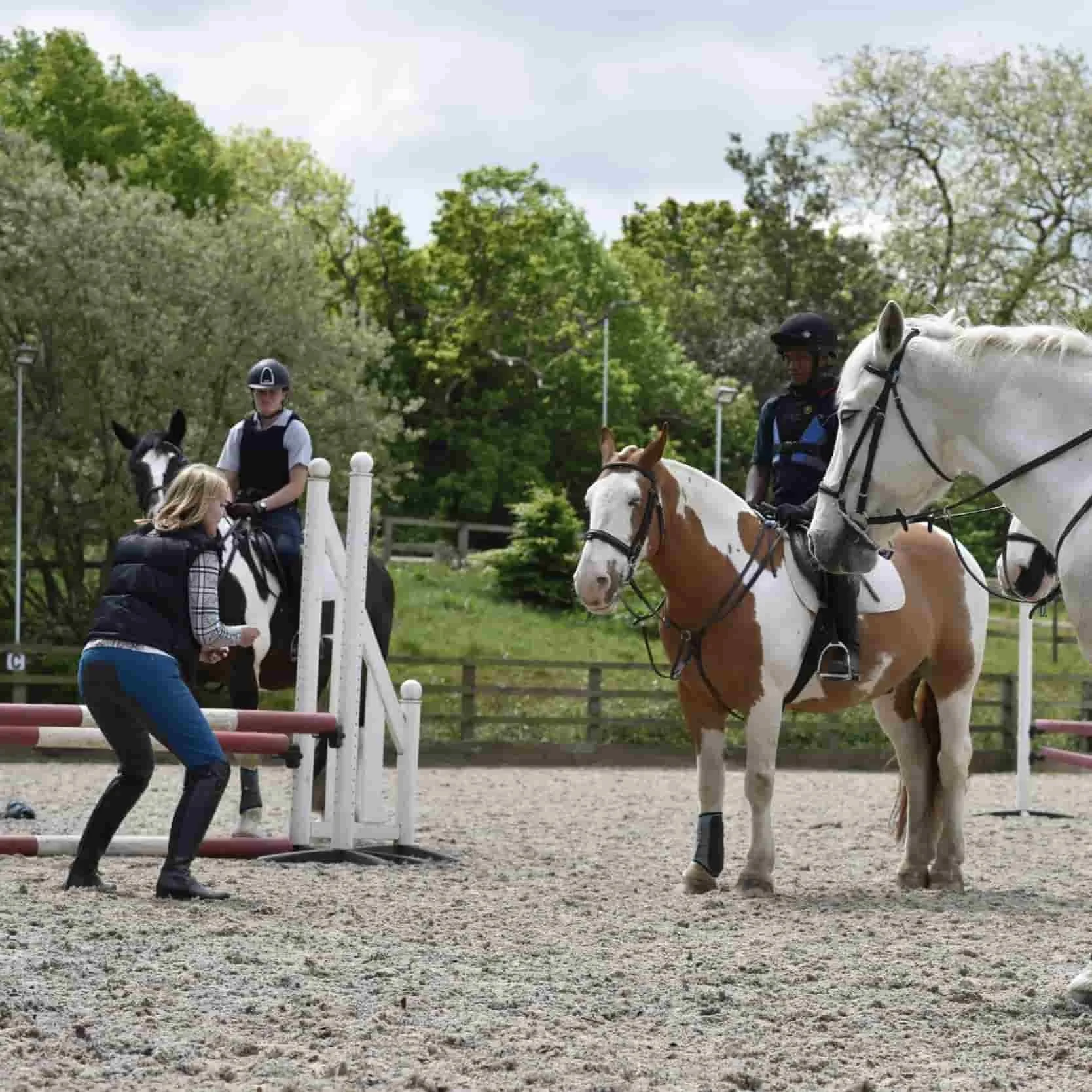 Two women, one in a black vest and helmet and another in a plaid shirt and riding boots, are training a black and white horse at an outdoor equestrian training ground. One woman is riding the horse while the other is helping by guiding the horse over a jump obstacle. The background features trees and a wooden fence.