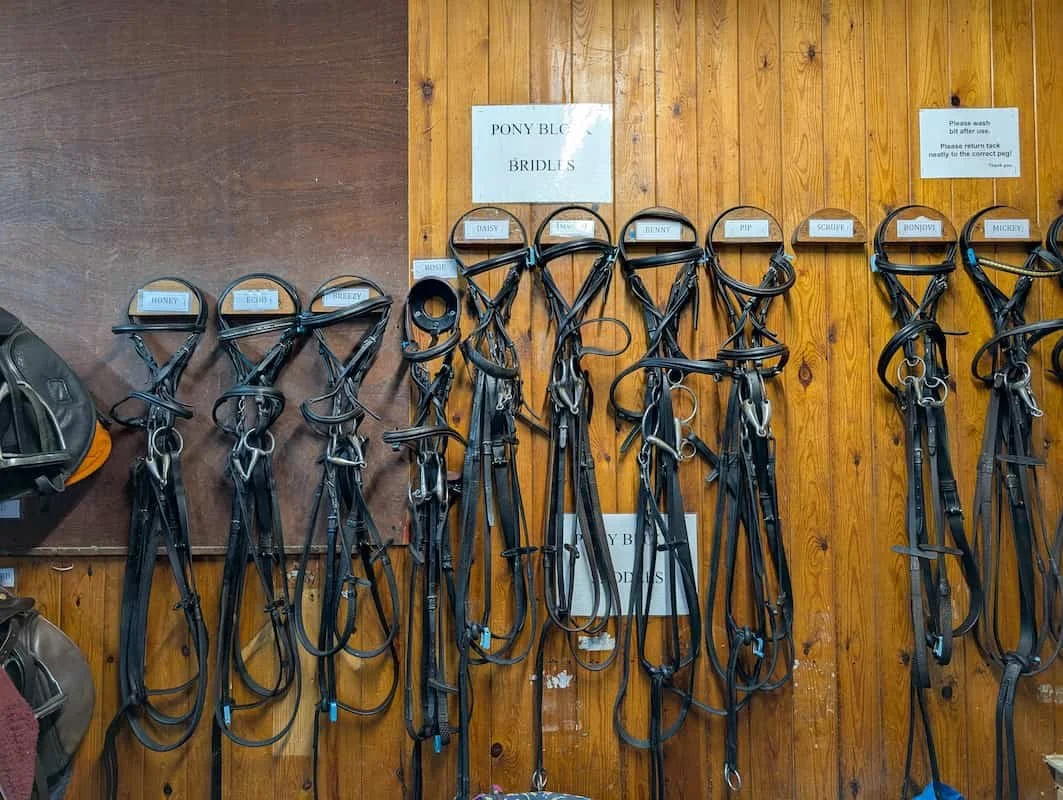 Equestrian bridles hanging on a wooden wall, each labeled with a rider's name.