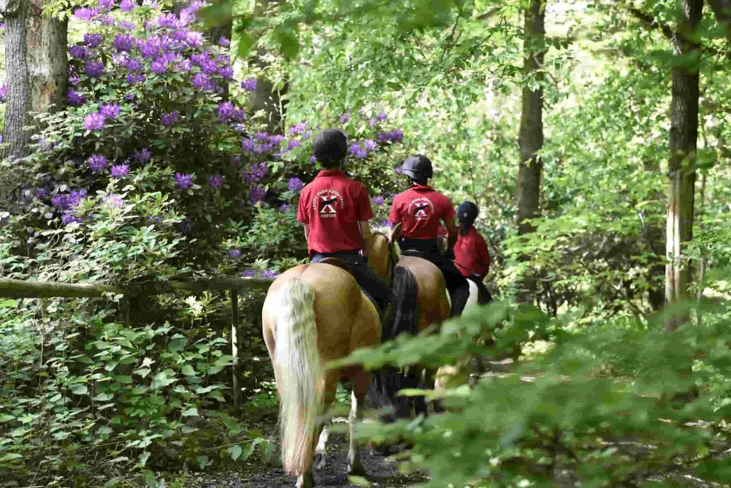 Three people riding horses through a wooded area surrounded by green trees and purple flowers.