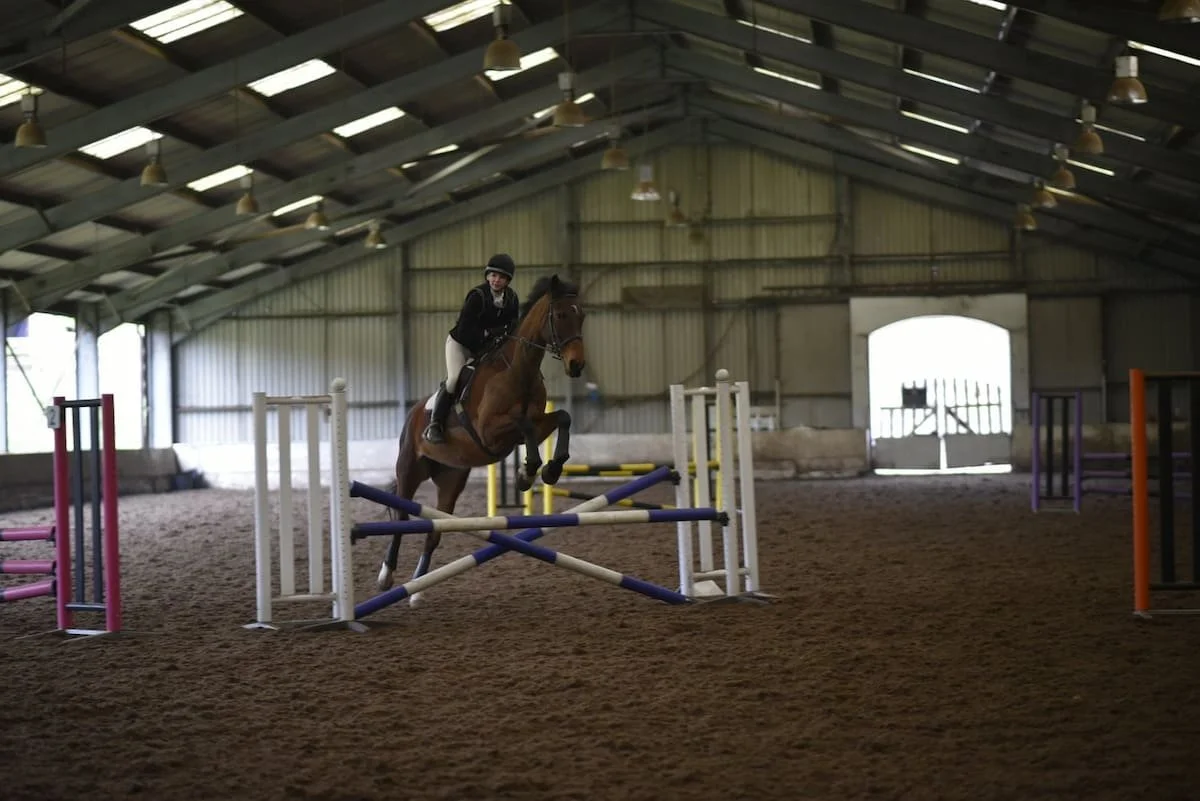 A rider in a black jacket and helmet riding a brown horse jumping over a set of colorful show jumping obstacles inside an indoor arena.