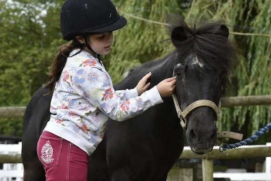 A young girl wearing a helmet and floral jacket petting a small black horse outdoors.
