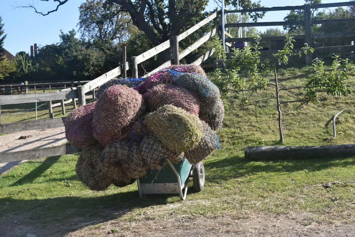 Wheelbarrow filled with colorful mesh bags of hay or straw in a park or garden area.