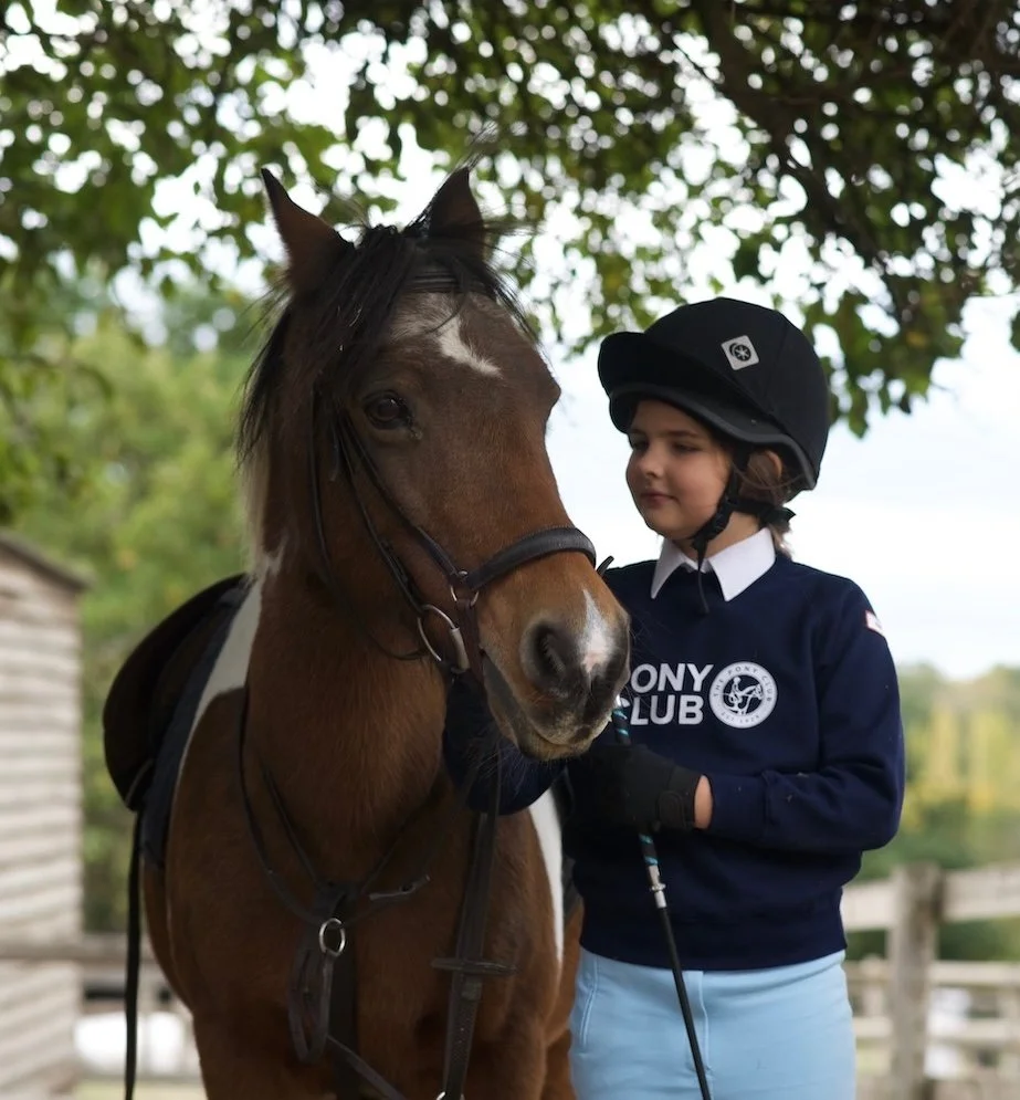 A young girl in riding gear gently holding a brown and white horse under a tree.