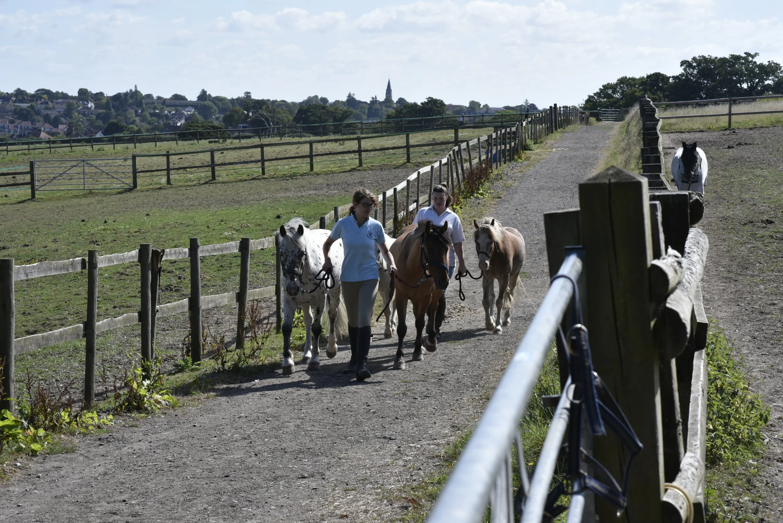 Two women leading a group of five horses down a dirt path in a rural farm setting, with fencing along both sides and a town in the background under a partly cloudy sky.
