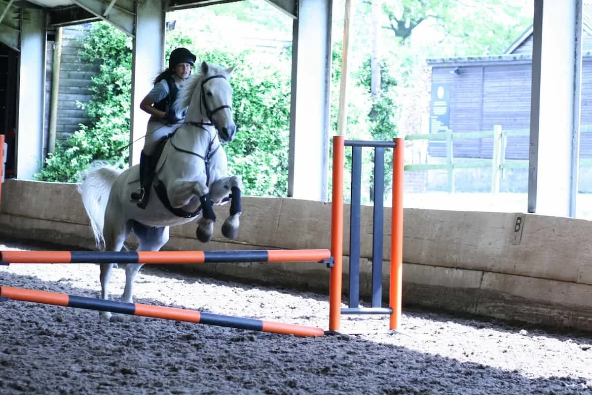 Girl riding a white horse jumps over an obstacle in an indoor riding arena.