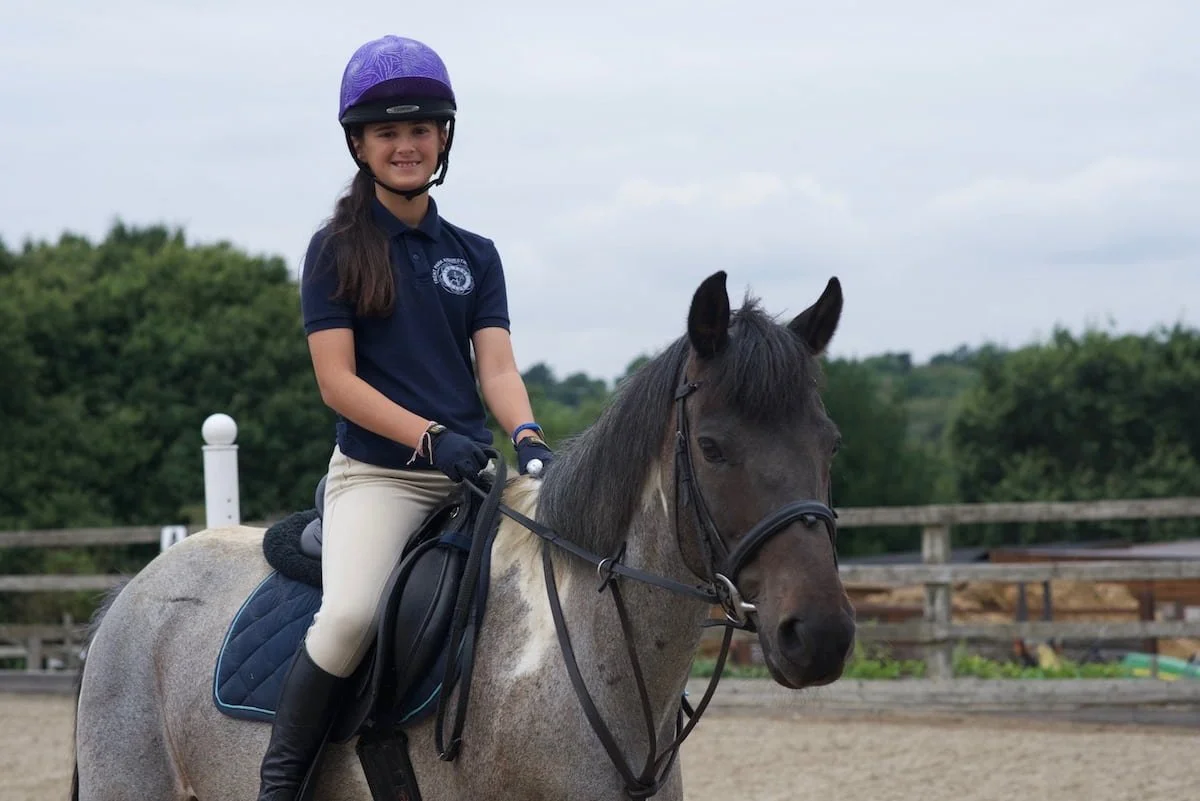 A young girl wearing a purple riding helmet, navy polo shirt, and beige riding pants sits on a gray horse in an outdoor riding arena with a fence and green trees in the background.