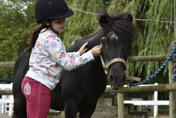 Young girl wearing a black riding helmet and floral sweatshirt petting a small black pony outdoors with a fence and green foliage in the background.