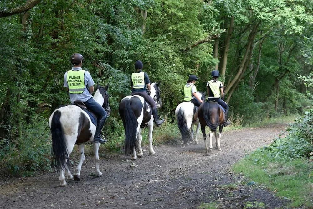 Four people riding horses on a wooded trail, wearing safety helmets and reflective vests with a sign that says 'Please Pass Wide & Slow'.