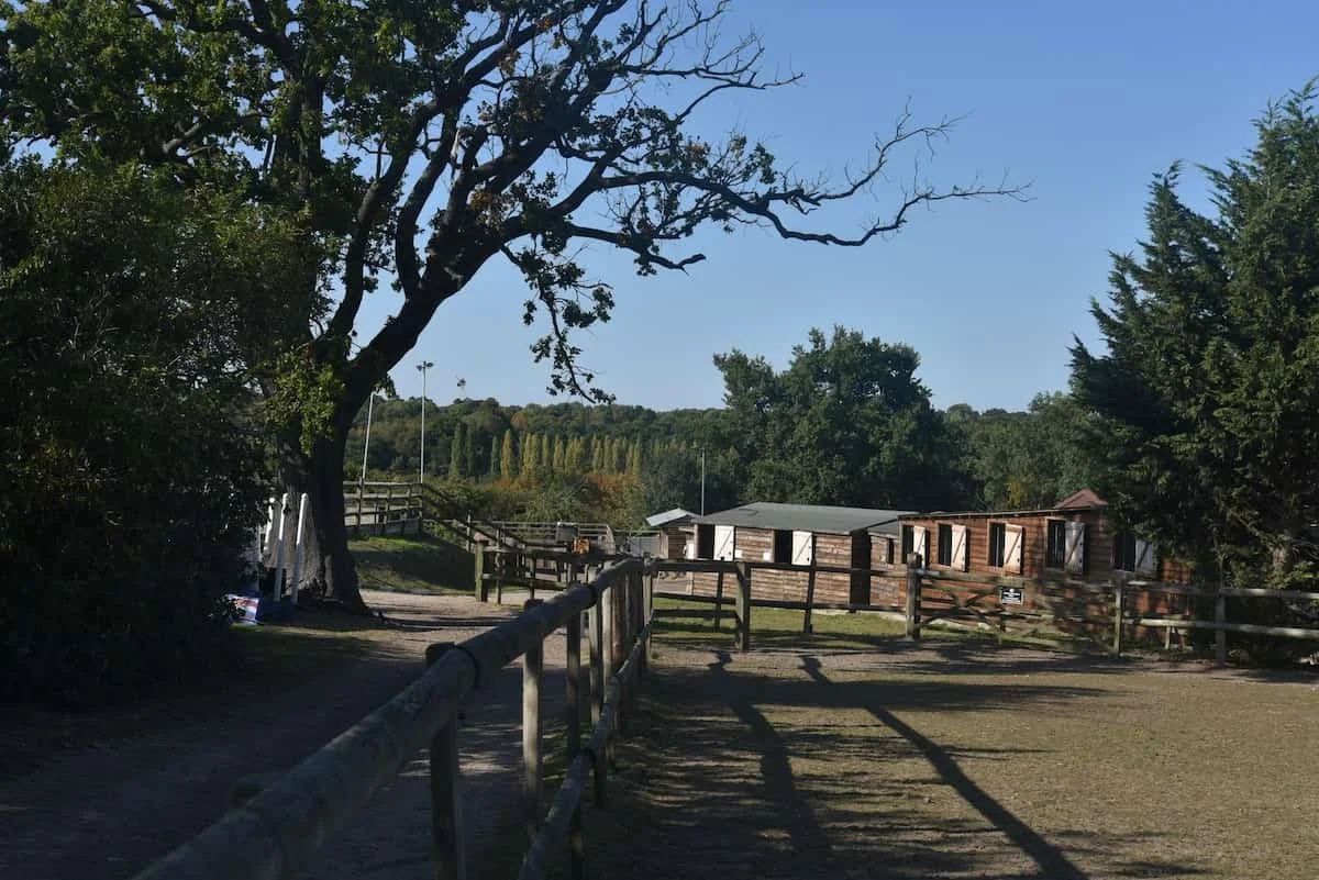 A rural farm scene with a large tree, a fenced pathway, small wooden buildings, and trees in the background under a clear blue sky.