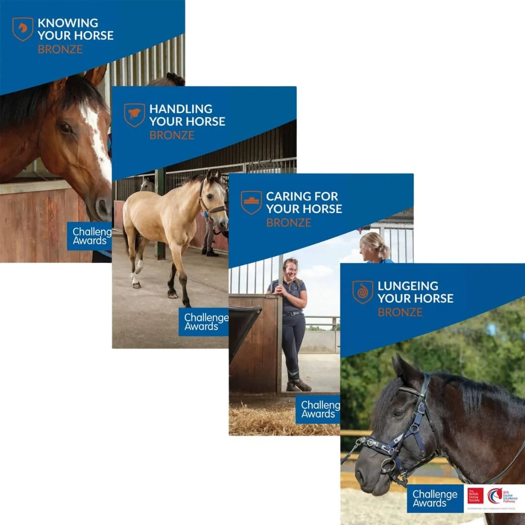 Four brochure covers related to horse care and challenges, featuring images of horses and people working with horses in stables, each labeled with topics like 'Knowing Your Horse,' 'Handling Your Horse,' 'Caring for Your Horse,' and 'Lunging Your Horse,' all marked with a bronze challenge awards badge.