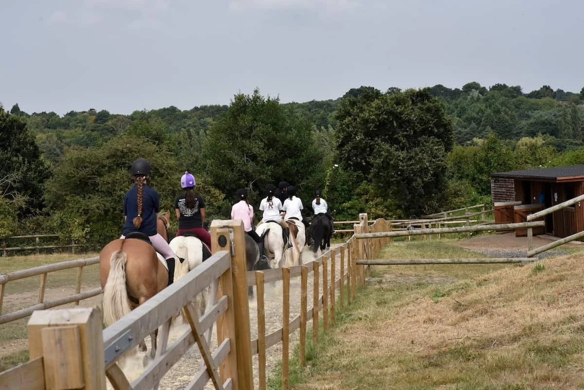 A group of people riding horses along a dirt path, surrounded by greenery and trees, with a wooden fence on either side.
