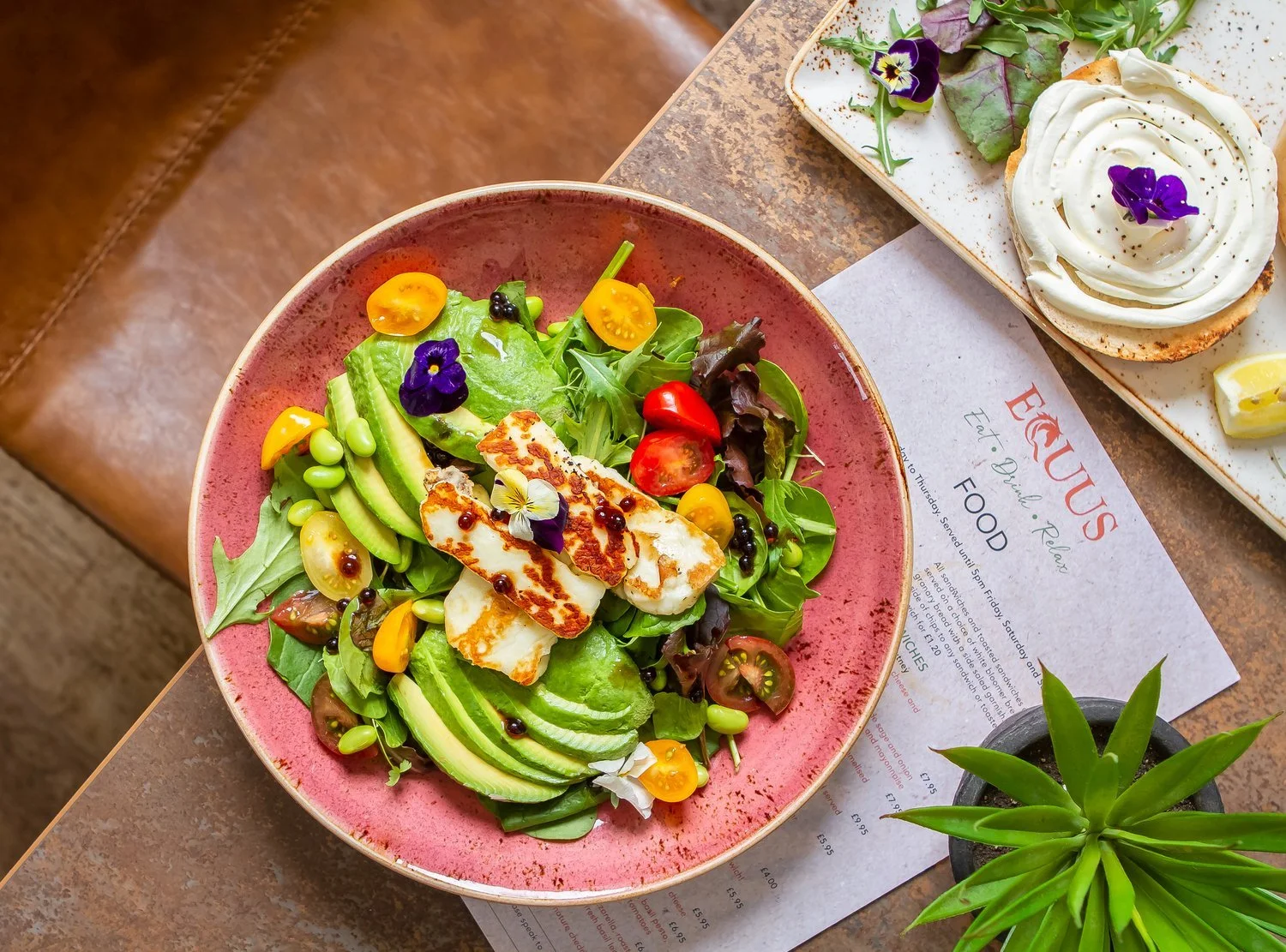Fresh salad with greens, sliced avocado, cherry tomatoes, grilled halloumi cheese, edible flowers, and berries in a pink bowl on a wooden table. In the background, there is a plate with a slice of bread topped with whipped cream and edible flowers, lemon wedge, and a menu or placemat with the text 'EUROPE'S Food Eat. Drink. Relax.' A potted succulent plant is also on the table.