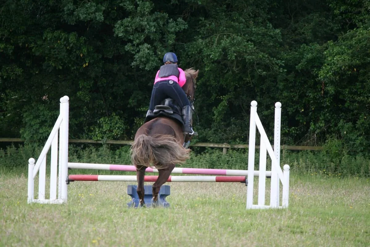 A person riding a horse jumping over a hurdle in an outdoor field, with trees in the background.