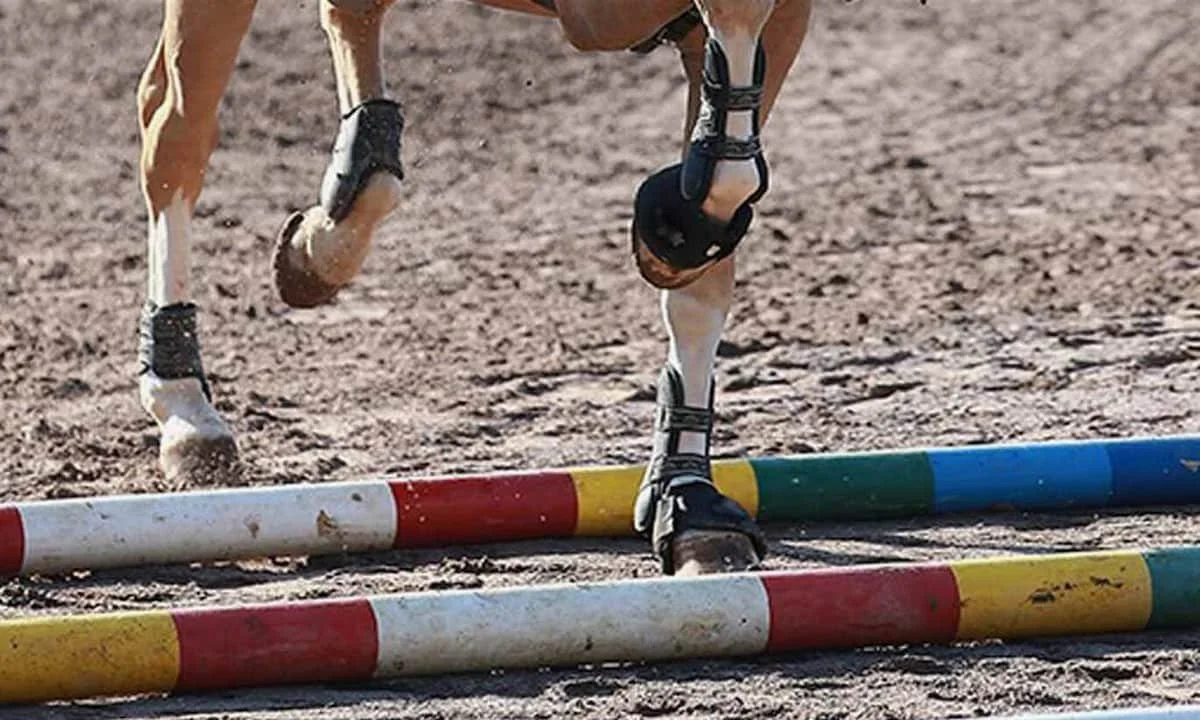 A horse clearing a jump on a dirt arena.