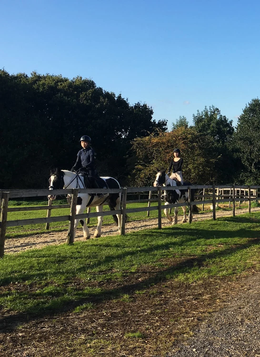 Two people riding black and white horses on a fenced path in a park with trees and blue sky.