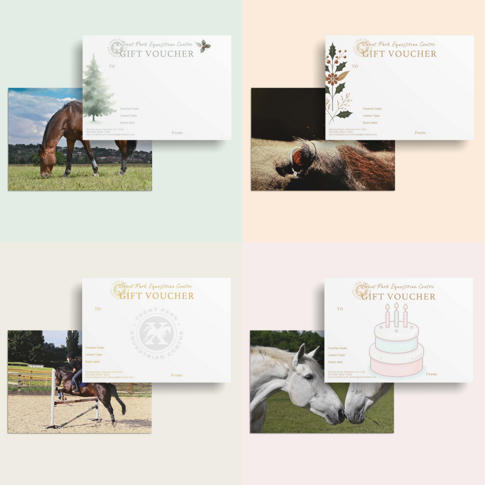 Collection of four gift vouchers for an equestrian center, each with different images: a horse grazing, a close-up of a horse's face, a horse jumping, and two horses touching noses, arranged on pastel-colored backgrounds.