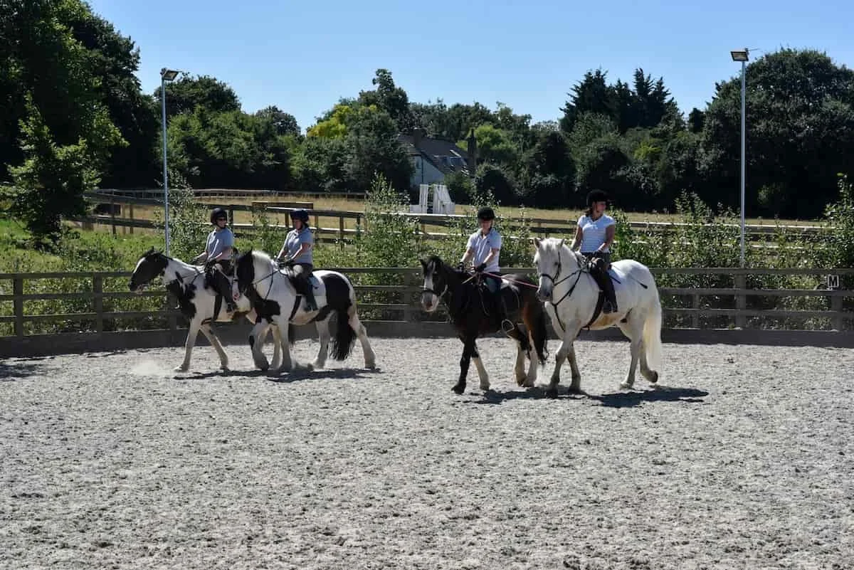 Four children riding horses in an outdoor riding arena with a wooden fence, trees, and a house in the background on a sunny day.