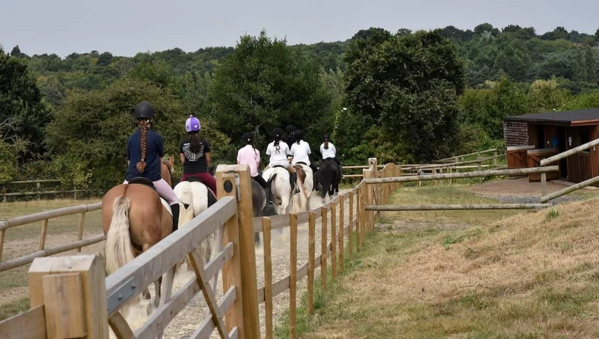 Group of people horseback riding along a fenced trail in a scenic outdoor setting.