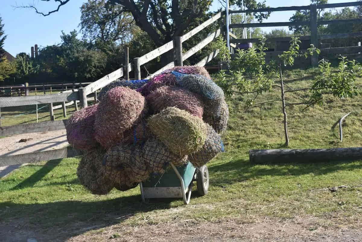 A wheelbarrow loaded with bundled hay or straw rolls on a grassy area outdoors, with a wooden fence and trees in the background.