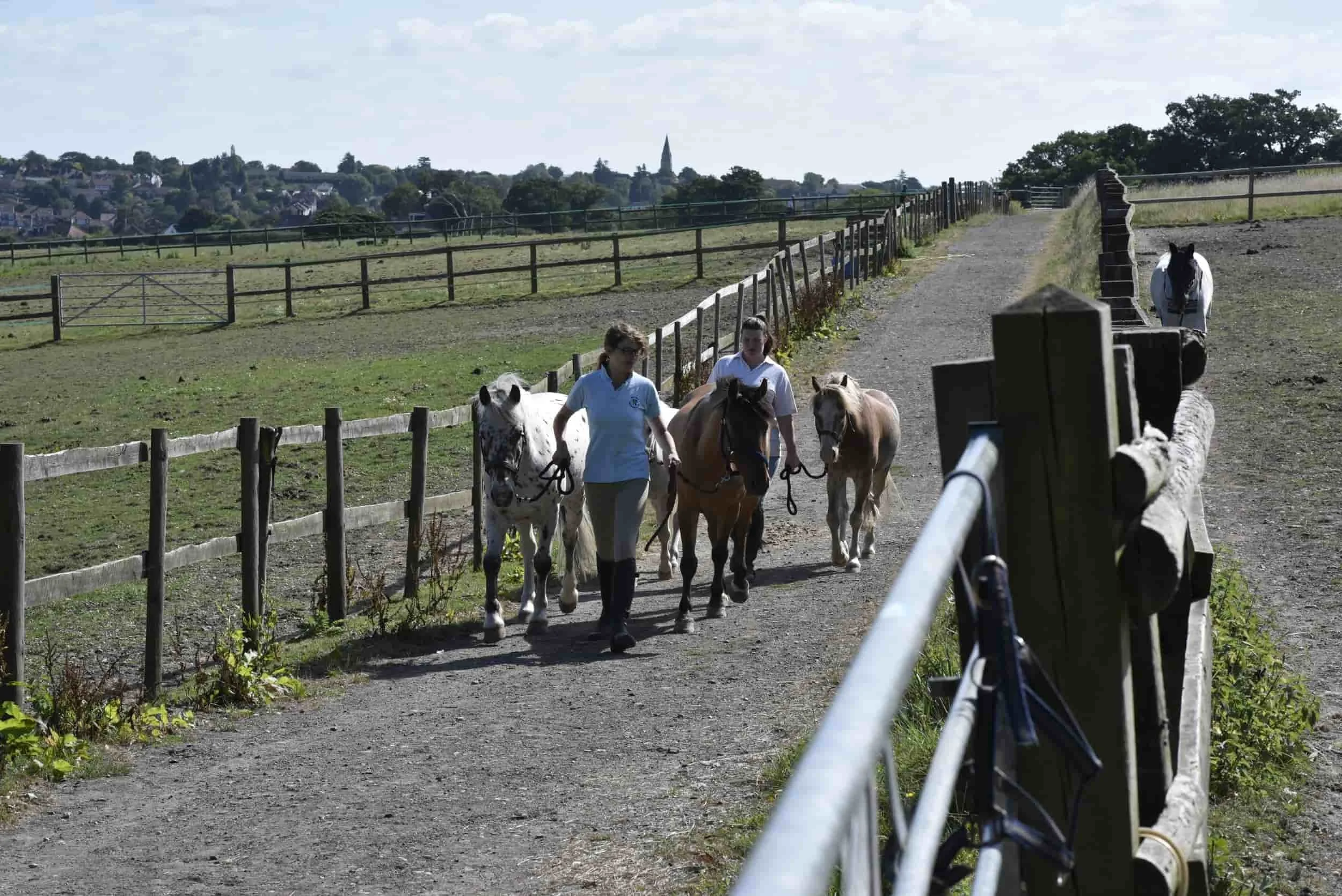 Two girls leading three horses along a dirt path in a fenced paddock area, with another horse following behind, in an open field with a scenic town and church steeple in the background.