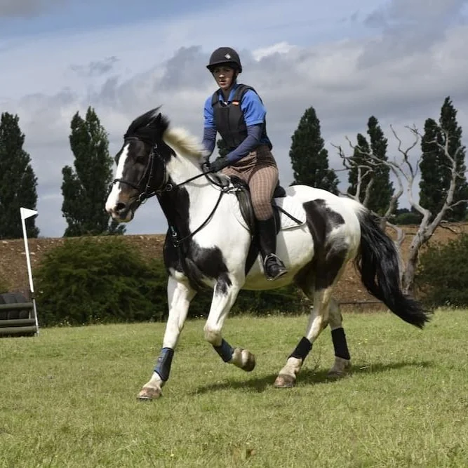 A person riding a black and white horse in an outdoor grassy field with trees and cloudy sky in the background.
