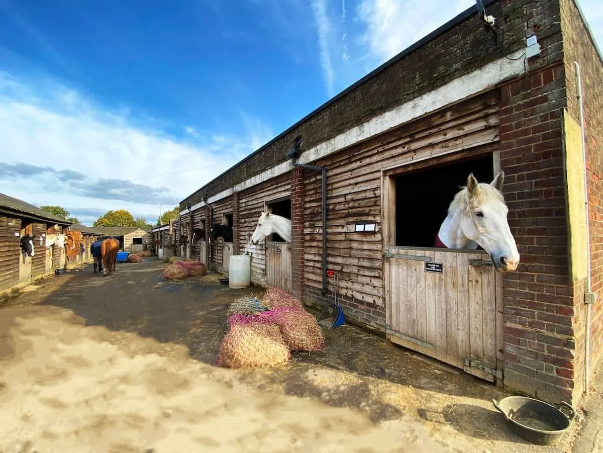 View of a stable with horses, some are peeking out of the stalls. Bales of hay are in front, and some people and other horses are in the background. Clear sky with some clouds.