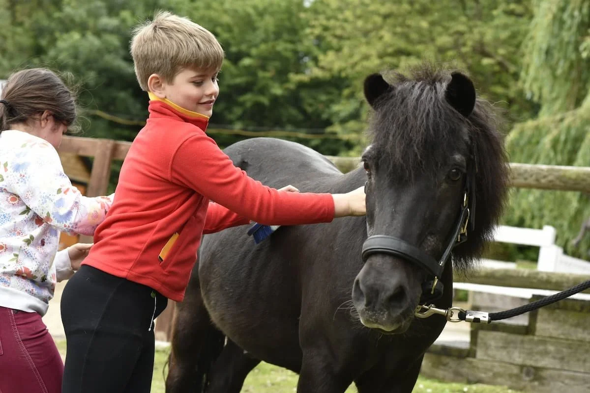 Children petting a small black horse outdoors in a fenced area.