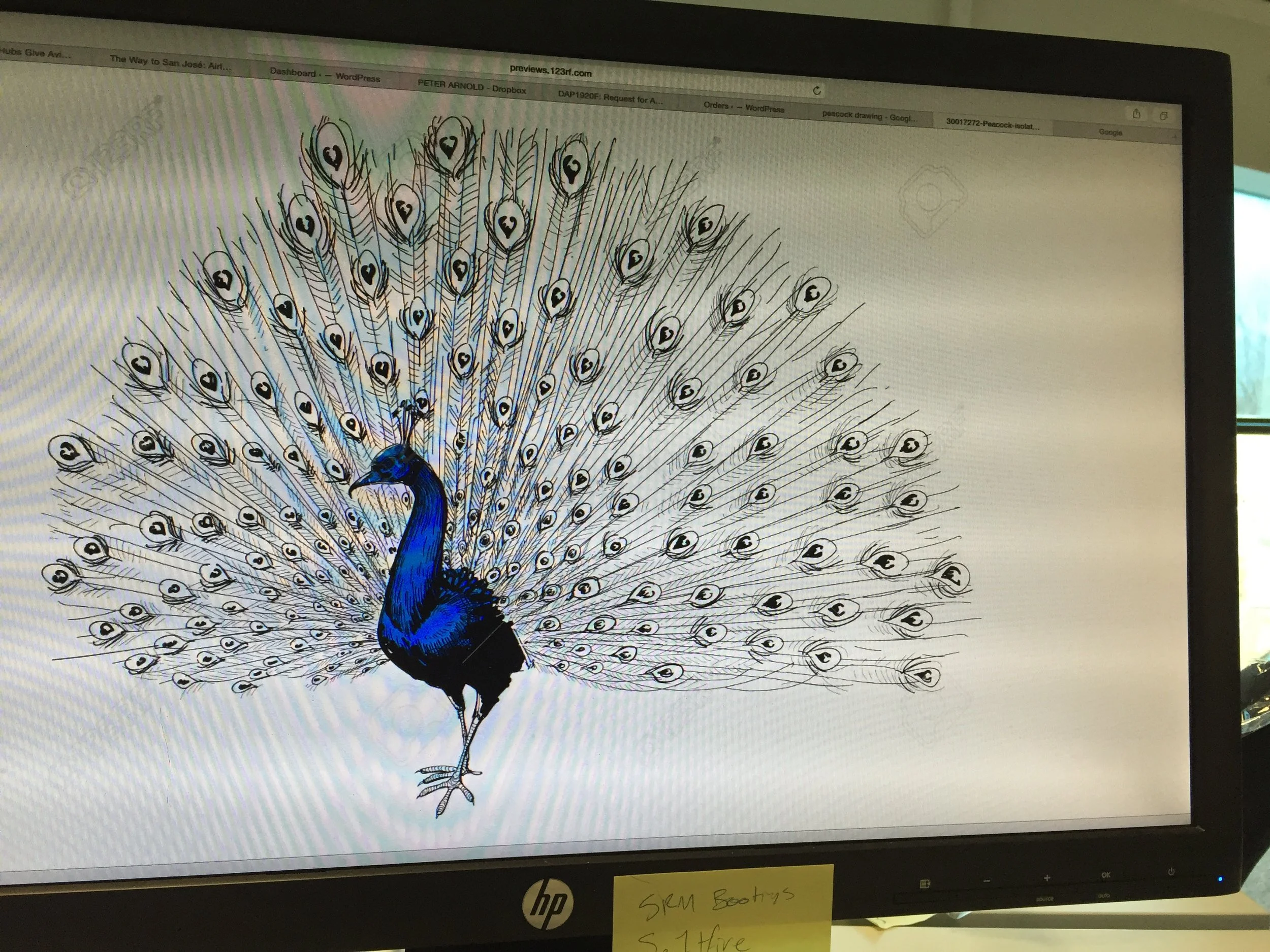 Regency Tonic fancy peacock