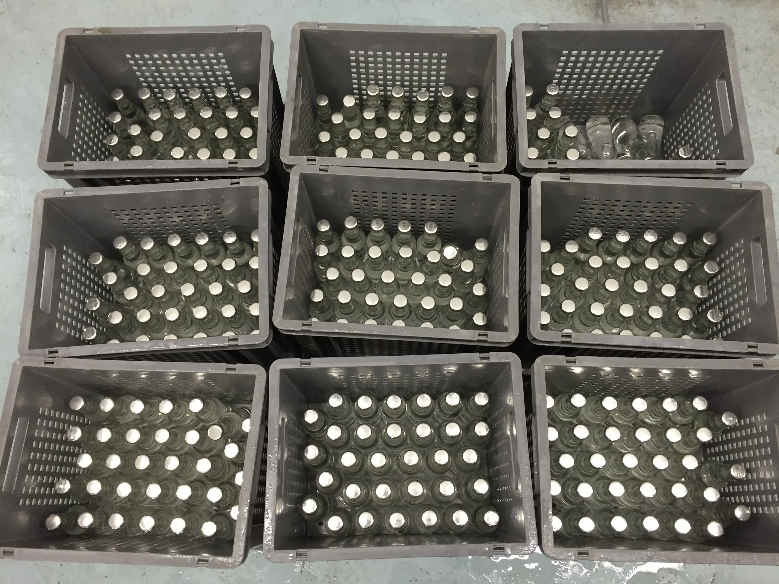 Regency Tonic - Batch One