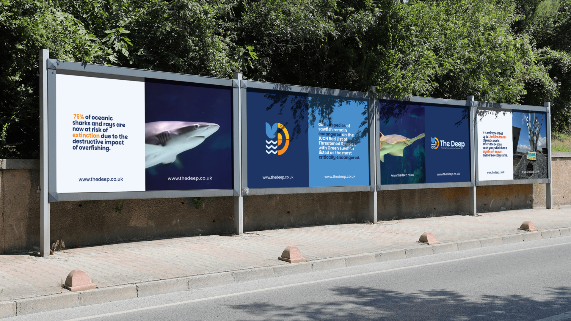 A series of environmental awareness posters on a bus stop billboard. The posters include images of sharks and rays, with text about oceanic species at risk, their conservation status, and the impact of plastic waste on marine life.