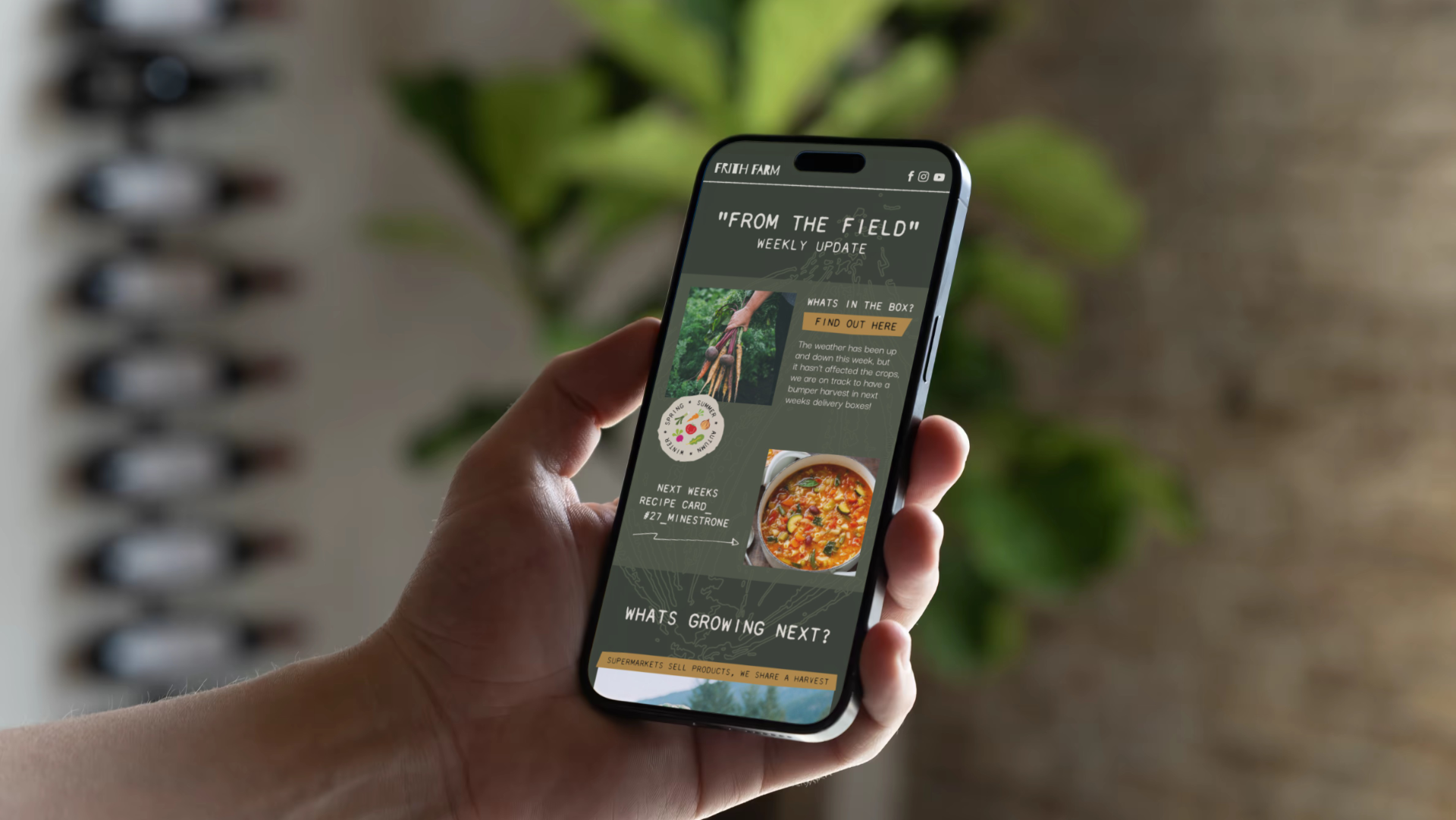Person holding a smartphone displaying a farm update newsletter titled 'From the Field' with images of vegetables, soup, and gardening, with a blurred indoor background and a row of vitamins or supplements on the left.